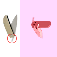 friction folder knife, non-locking folder knife