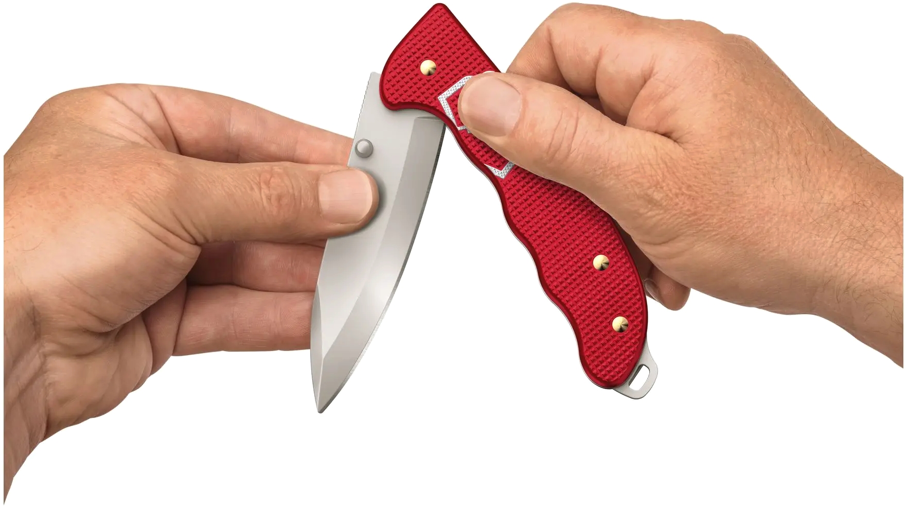 Victorinox Evoke Alox сине-красный (0.9415.D221) купить в Украине
