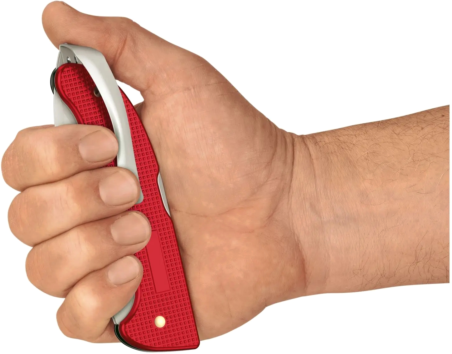 Victorinox Evoke Alox сине-красный (0.9415.D221) купить в Украине