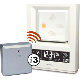 Метеостанция Technoline WS6620 White, фото 