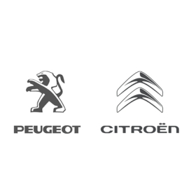 Видеоинтерфейс Gazer VC700-RT6 для Citroen C4, C5, Peugeot 408, 508 2009+, фото 