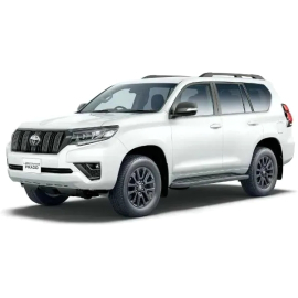 Доводчик крышки багажника Prime-X SC-RD для Toyota Land Cruiser 150 Prado, фото 
