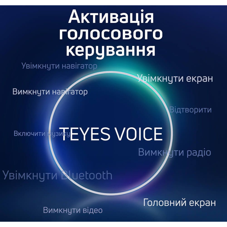 Голосовой контроль Teyes, фото 
