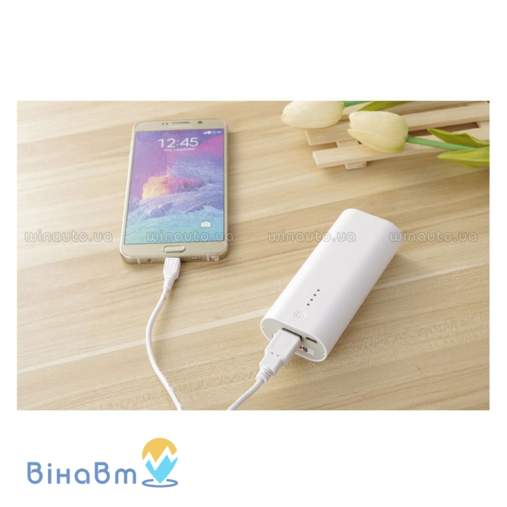 Зарядное устройство + Power Bank Soshine E4C для аккумуляторов 18650, фото 4